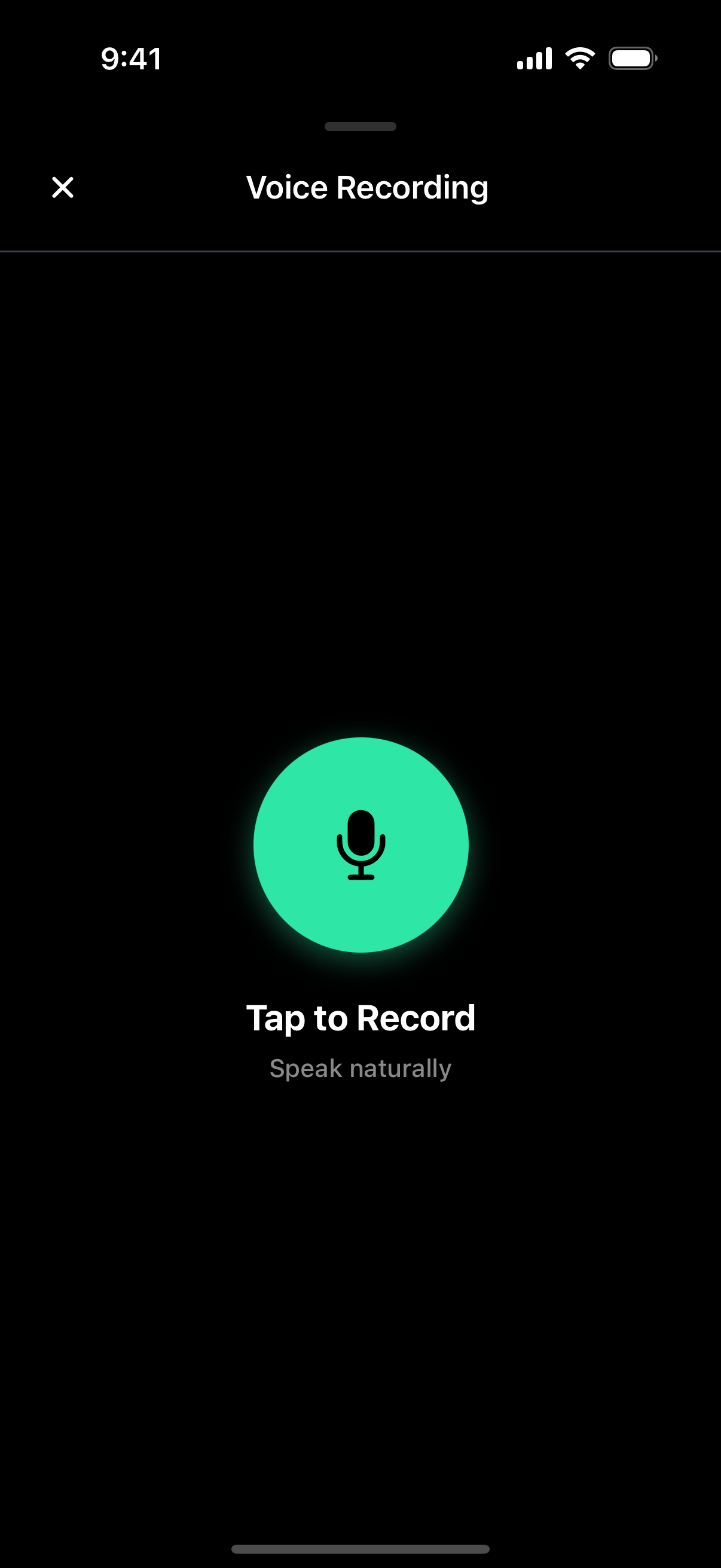 Say it: voice recorder ready to capture